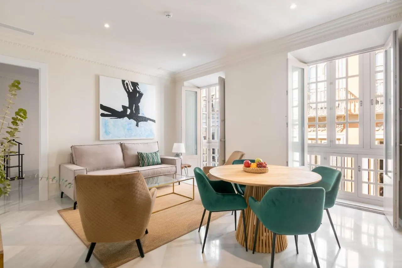 Pinar Vip Class Malaga C/Granada Apartment Spain